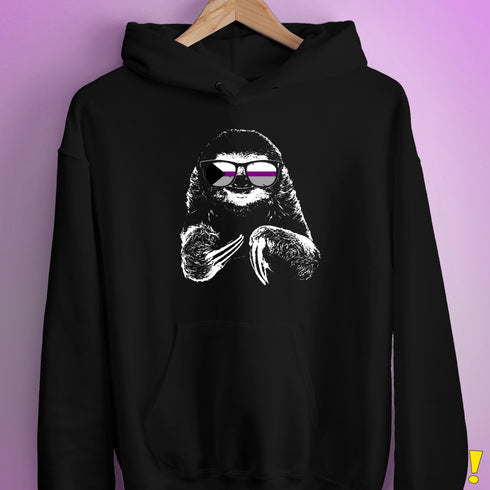 Pride Sloth Demisexual Pride Flag Sunglasses Hoodie - Black